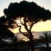 Sandrine AUBARD (@sandrineaubard) Twitter profile photo Sandrine AUBARD (@sandrineaubard) Twitter profile photo