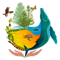COP13MX (@cop13mx) 's Twitter Profile Photo COP13MX (@cop13mx) 's Twitter Profile Photo