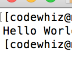 codewhiz's profile picture. Was a coder. Now a web designer. Need a nice site?