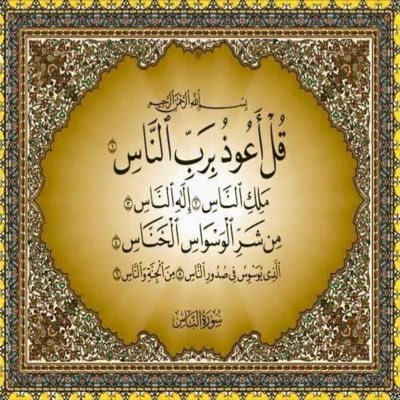 wjslvn's profile picture. 