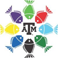 Fish Camp (@fishcamptamu) 's Twitter Profile Photo Fish Camp (@fishcamptamu) 's Twitter Profile Photo