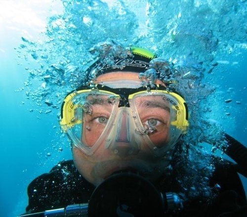 gigiol's profile picture. 