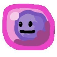 Thymocyte (@thymocyte) 's Twitter Profile