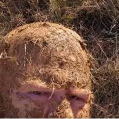 JohnQPrepper's profile picture. 110% USA born Preppin MOFO! FOUR HORSEMEN R COMING! U READY?