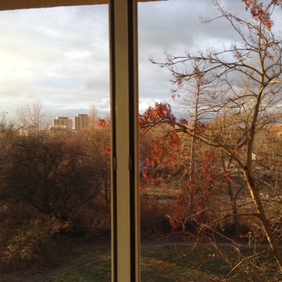 petitehoffnung's profile picture. PhD student in politcial science @FU_Berlin  | digtial tech&governance | political psychology | authoritarian politics | language, IR & hiking enthusiast