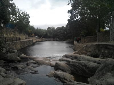 Antonio3110's profile picture. 