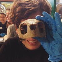 Helena Garcia Carrizosa (@helenagcarri) 's Twitter Profile