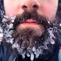 Paul Adenot (@padenot) 's Twitter Profile Photo Paul Adenot (@padenot) 's Twitter Profile Photo