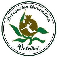 Delegación Granadina de Voleibol (@dgravb_favb) 's Twitter Profile