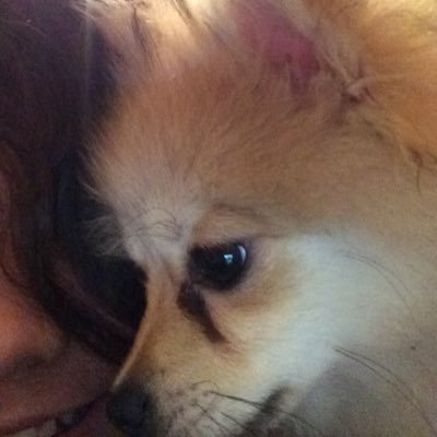 jessichalie97's profile picture. 