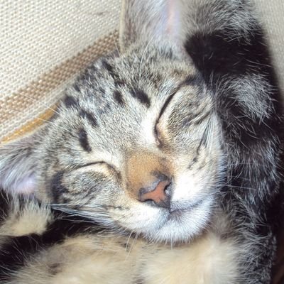 Dayrythelunatic's profile picture. 27