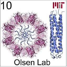 Olsen Lab @ MIT