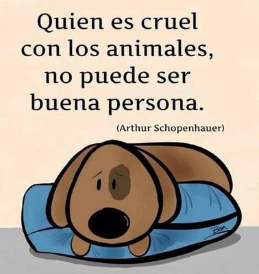 moldes_maria's profile picture. 