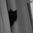 TinaLouiseLuten's profile image