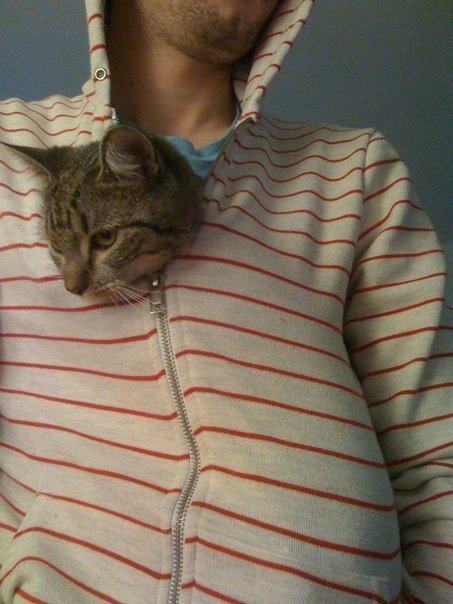carlrice's profile picture. freelance android developer