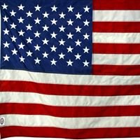 DBolzer's profile picture. 