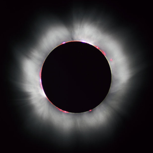 eclipse_music Profile Picture