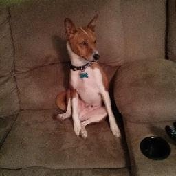 eltheanine's profile picture. 