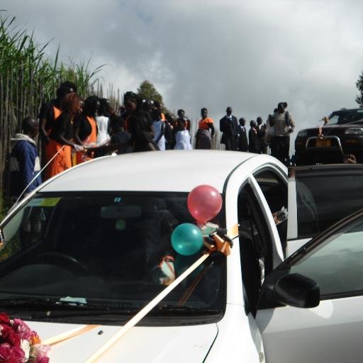 pepetoshoa1's profile picture. 