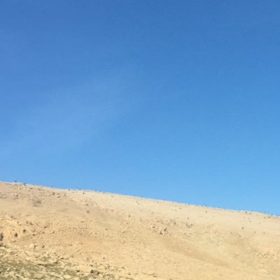 voicesofyezidi's profile picture. 