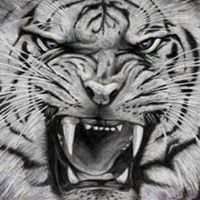 cosleos555's profile picture. 