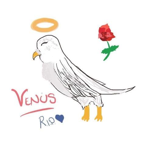 Jim_Crips's profile picture. Im all about sports and building things that go fast.