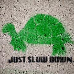 justslowdown's profile picture. Trying to live a life not so fast.  Laughing. Smiling. Exercise. Healthy eating. Mindfulness. Fresh air.