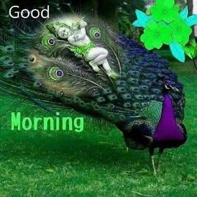 BaggaDhillon1's profile picture. 