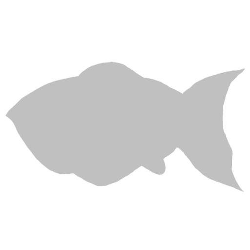 稚魚ツェッドアンソロ企画さんのプロフィール画像
