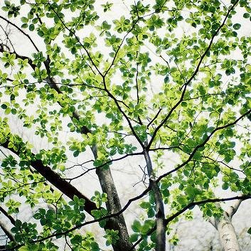 libertesq's profile picture. Sociology @NUsociology