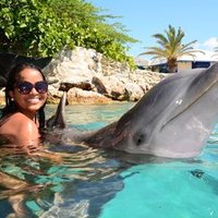 Aracelis Quintero (@aracelisquinter) 's Twitter Profile