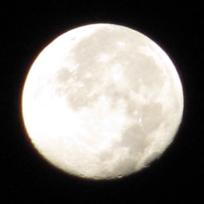 _mjames82's profile picture. 