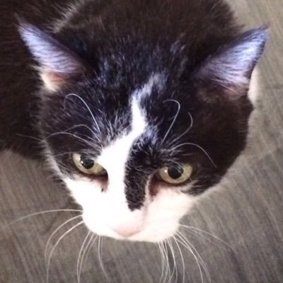 masters_jd's profile picture. Environmental Scientist. Nerd. Tattooed. Steelers fan. Writer of wlw fanfic. She/her they/them; but usually called sir.