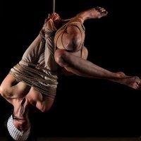 BeShibari (@beshibari1) 's Twitter Profile