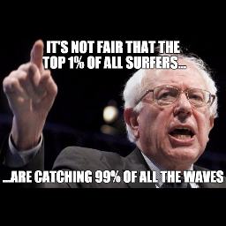 Surfers4Sanders's profile picture. Surfers for Sanders is about the inequality in the surfing community where The Top 1% of Surfers catch 99% of the waves.