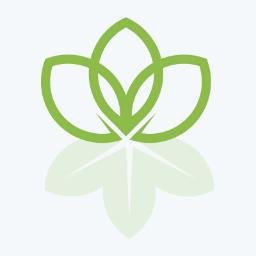 NinaRehmanDEC's profile picture. 