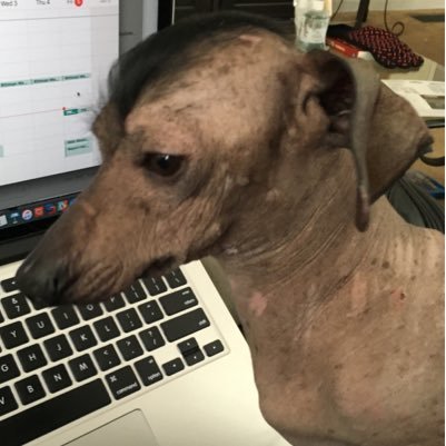 Sr. Principal Consultant (Analytics and big data) Opinions expressed are my own. sometimes about data stuff, mostly complaints (tweets seem to get results)