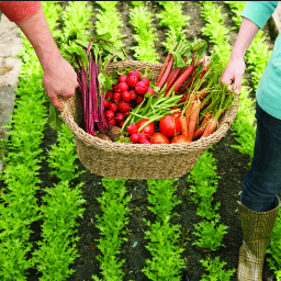 We at Metro Farmer aim to bring the great outdoors to all city dwellers. We offer an innovative range of urban gardening equipment. Join the green revolution.