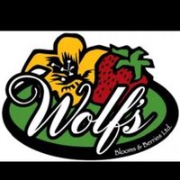 Wolfs Blooms & Berry(@Blooms_Berries) 's Twitter Profile Photo