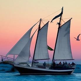 TiggysTrails's profile picture. 