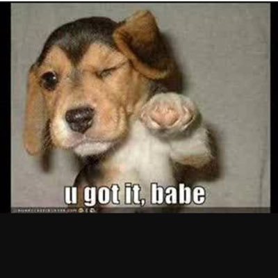 razor_19h's profile picture. 