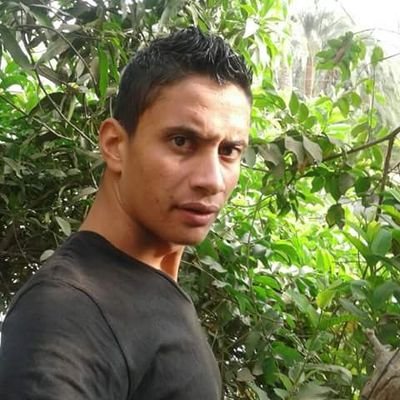 VoWTt4TXmeFAnpW's profile picture. 