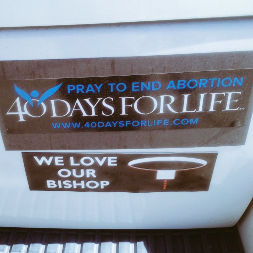 Prolife activist since 1973, 40 Days for Life Phoenix, AZ Co-Leader,
Social Worker - Destroys canard that prolifers are only probirth. 
#Prolife 🇺🇸 ☘😀