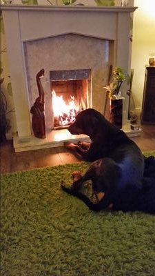 henhof10's profile picture. live life to the full all day every day 💯