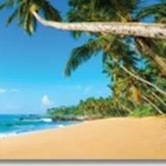 MarkRickwood's profile picture. Director of Time4aHoliday. Independent travel consultant specialising in luxury travel and sporting hospitality events.