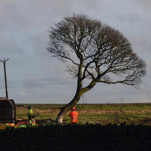 Kevin Stephenson - Director of Stephenson Trees and Landscapes Ltd