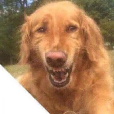 BlandoEl's profile picture. 