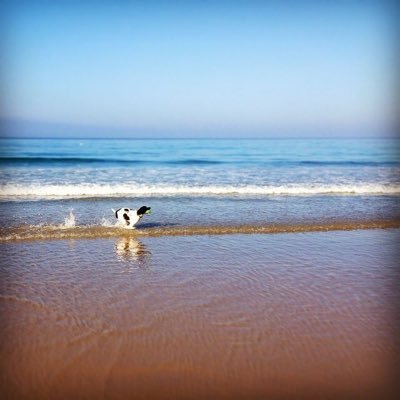 cynpp6's profile picture. 