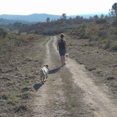 maisquepalabras's profile picture. Sobrevivir non é pouco