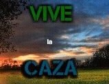 Cazador y orgulloso de serlo!! siente, vive, disfruta pero sobre todo enseña y respeta la caza. Entre todos podemos únete!!
